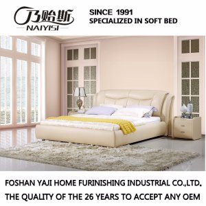 High Quality Bedroom Furniture Modern Bed (FB2102)