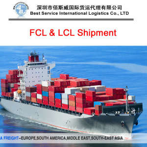 Professional Import, Export Agent for Ocean Shipping, Express, Air